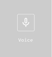 Voice